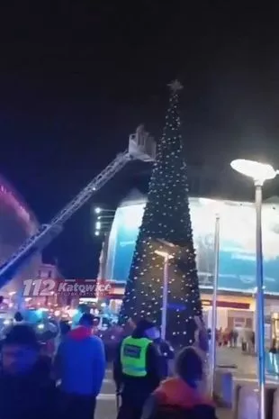 在引发大规模紧急响应后，一名男子从巨大的圣诞树顶上被救出