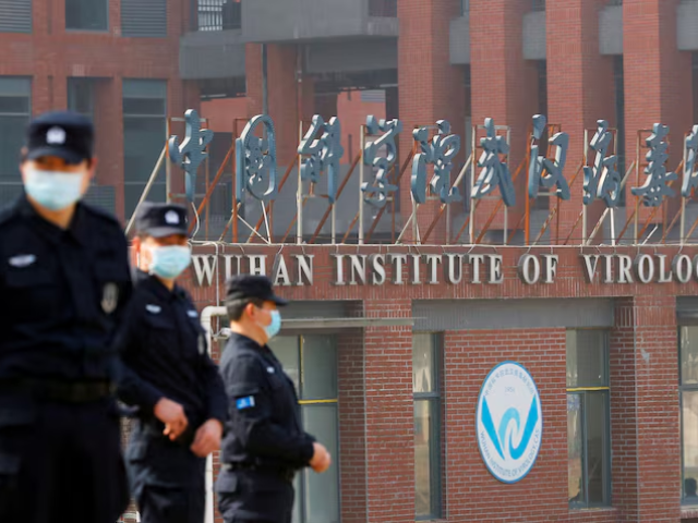 新发现的蝙蝠病毒与新冠病毒的进入方式相同