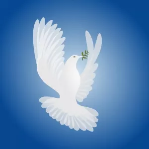 巴基斯坦和印度活动人士呼吁缓和局势