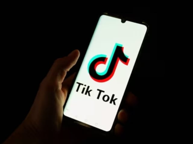 TikTok因删除“解放巴勒斯坦”评论而受到审查
